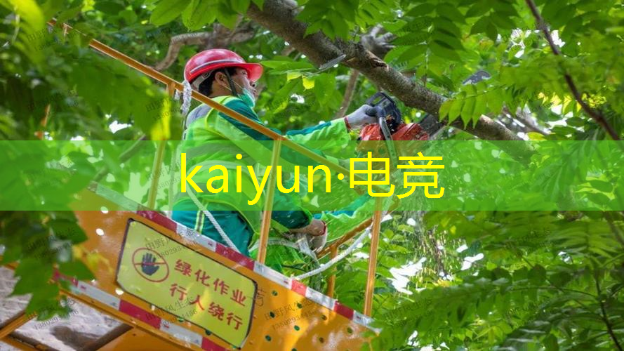 kaiyun电竞官方网站入口：3D游戏语音怎么处理