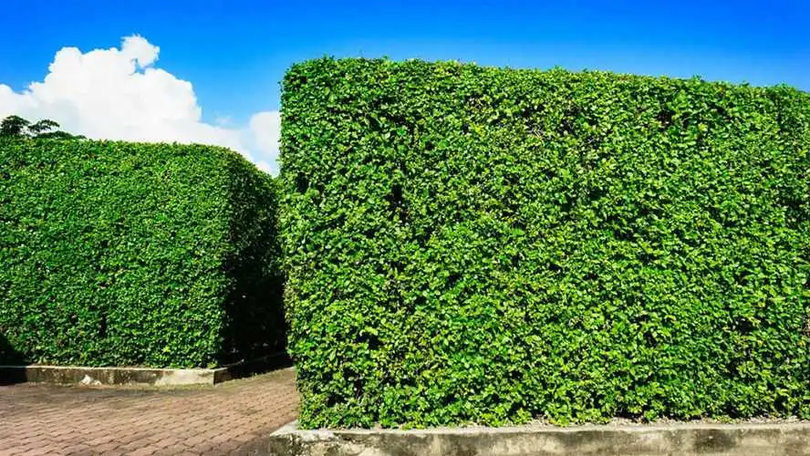 开云电竞：弓箭手好玩的3d游戏推荐