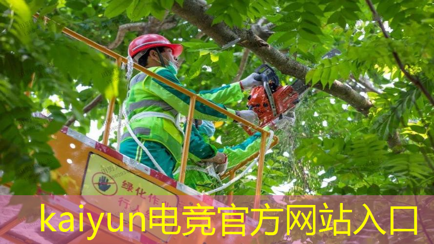 kaiyun·电竞：电竞纪实：全方位解读中国青年电竞大赛的激烈战斗！