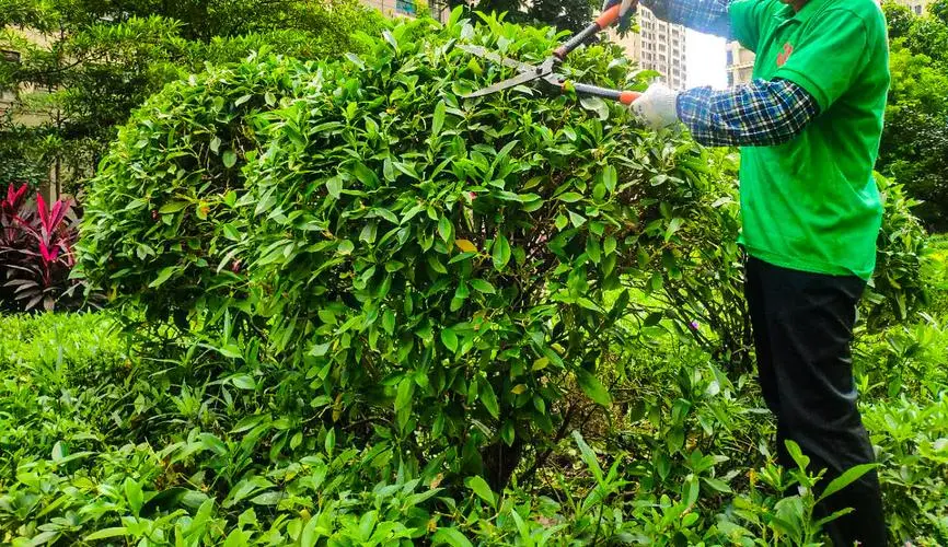 kaiyun·电竞：游戏原画皮甲怎么做的