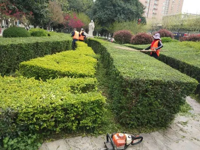 外网3d交友游戏推荐大全