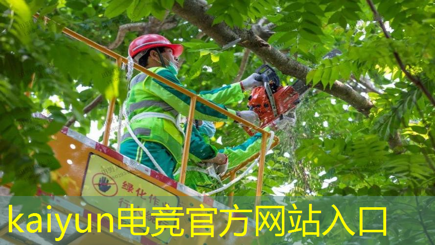 喜欢的小程序游戏
