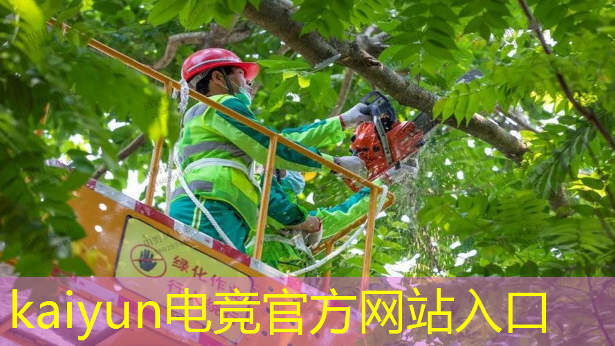 原画玩家是什么游戏